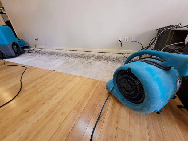 Professional Basement Flood Cleanup technician working in Richmond, MO